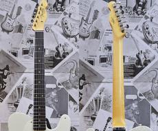 Fender Custom Shop ~Spec Piece~ 1959 Telecaster Journeyman Relic -Aged Olympic White-_6