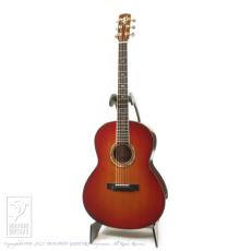 MANZER GUITARS The Manzer_2