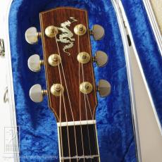 MANZER GUITARS The Manzer_6