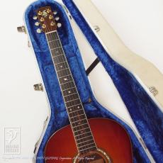 MANZER GUITARS The Manzer_8