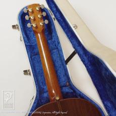 MANZER GUITARS The Manzer_9