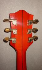 Gretsch 6120_5