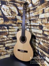 Paco Castillo パコ・カスティージョ 203S 松・ローズウッド【日本総本店2F在庫品】