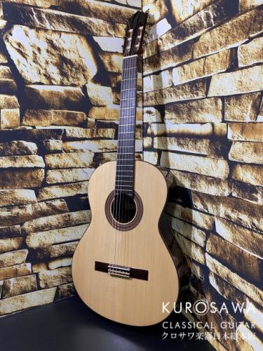 Paco Castillo パコ・カスティージョ 203S 松・ローズウッド【日本総本店2F在庫品】