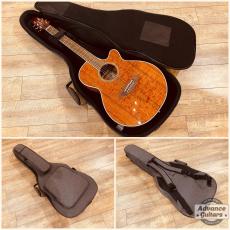 Takamine 2012年製 PTU131KC N_3