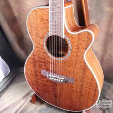 Takamine 2012年製 PTU131KC N_5