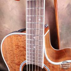 Takamine 2012年製 PTU131KC N_6
