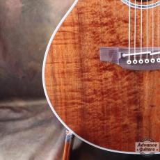 Takamine 2012年製 PTU131KC N_14
