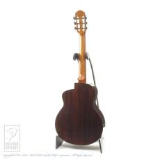aNueNue aNN-MN214E (Nylon Strings)_4
