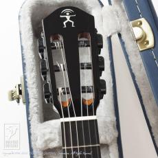 aNueNue aNN-MN214E (Nylon Strings)_6