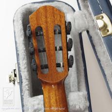 aNueNue aNN-MN214E (Nylon Strings)_7