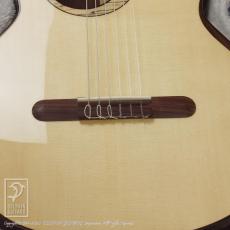 aNueNue aNN-MN214E (Nylon Strings)_12