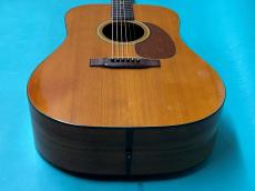 Martin D-25K_11
