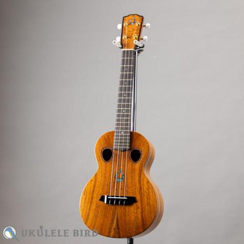 G String T4 Double Hole Tenor