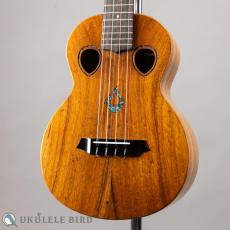 G String T4 Double Hole Tenor_2