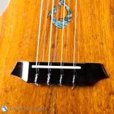 G String T4 Double Hole Tenor_3