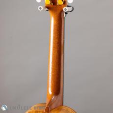 G String T4 Double Hole Tenor_8
