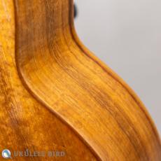 G String T4 Double Hole Tenor_11