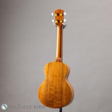 G String T4 Double Hole Tenor_12