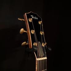 Taylor Cocobolo GA-LTD【2.41kg】_6