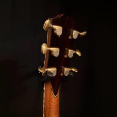 Taylor Cocobolo GA-LTD【2.41kg】_7