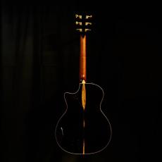 Taylor Cocobolo GA-LTD【2.41kg】_11