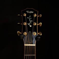 Taylor LTD GSE-C【2.41kg】_5