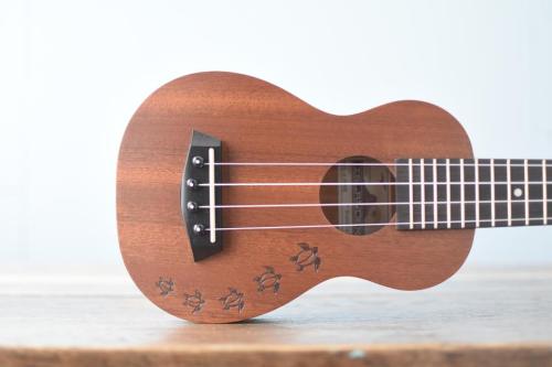 ISLANDER Soprano MS-4-HNS