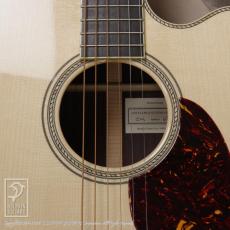 Santa Cruz OM Cutaway (Short Scale)_12