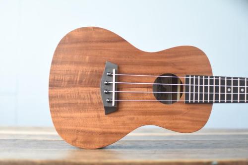 ISLANDER Concert AC-4