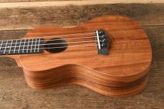 ISLANDER Concert AC-4_2
