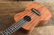 ISLANDER Concert AC-4_3