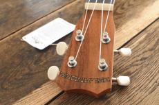 ISLANDER Concert AC-4_6