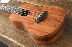ISLANDER Concert AC-4_8