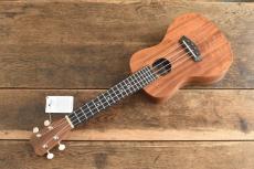 ISLANDER Concert AC-4_9