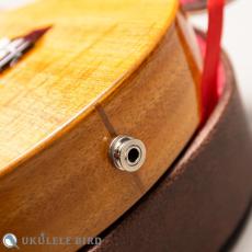 G String T4 Sun Tenor Thin Body w/PU_14