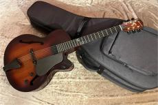 Landscape 【特価!!】【NEW】AR-101 Antique Violin sn2502006 [3.20kg]【G-CLUB TOKYO】_11