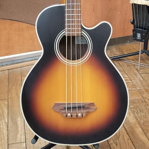 Takamine PB-15