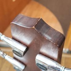 Takamine PB-15_3