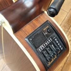 Takamine PB-15_4