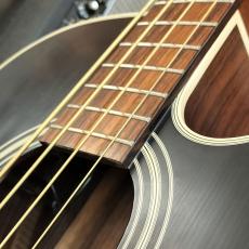Takamine PB-15_6
