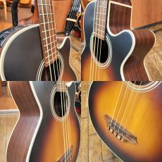 Takamine PB-15_7
