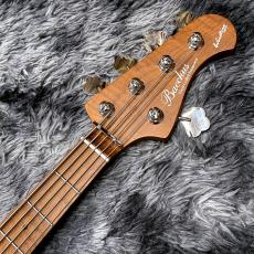 Bacchus WL5-AGED/RSM SBBD-AGED 【特価】【生産完了モデル】【5弦ベース】_6