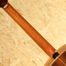 FUJII GUITARS OM-Model_7