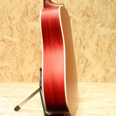 Gibson Hummingbird Special VCS_5