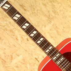 Gibson Hummingbird Special VCS_6