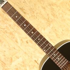 Gibson J-45 Special VS_6