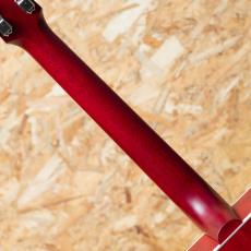 Gibson Country Western Satin_7