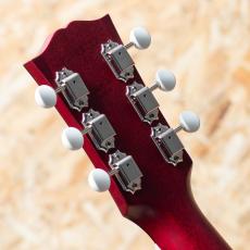 Gibson Country Western Satin_9