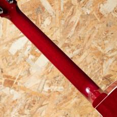 Gibson Les Paul Parlor Aoustic VCS_7